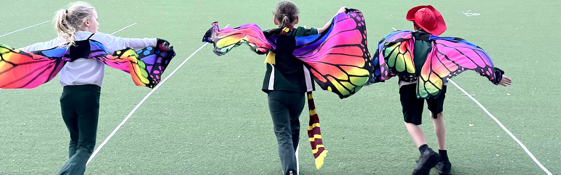 Before & After School Care and Vacation Care Enrolments